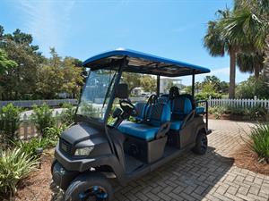 6 person golf cart provided with the home