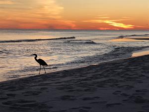 Breathtaking Sunset Views