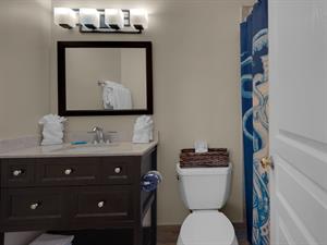 2nd fl Guest Bathroom