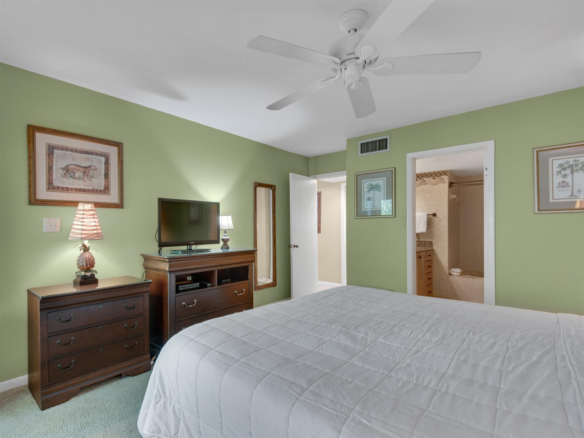 Flat Screen T.V in Primary Bedroom