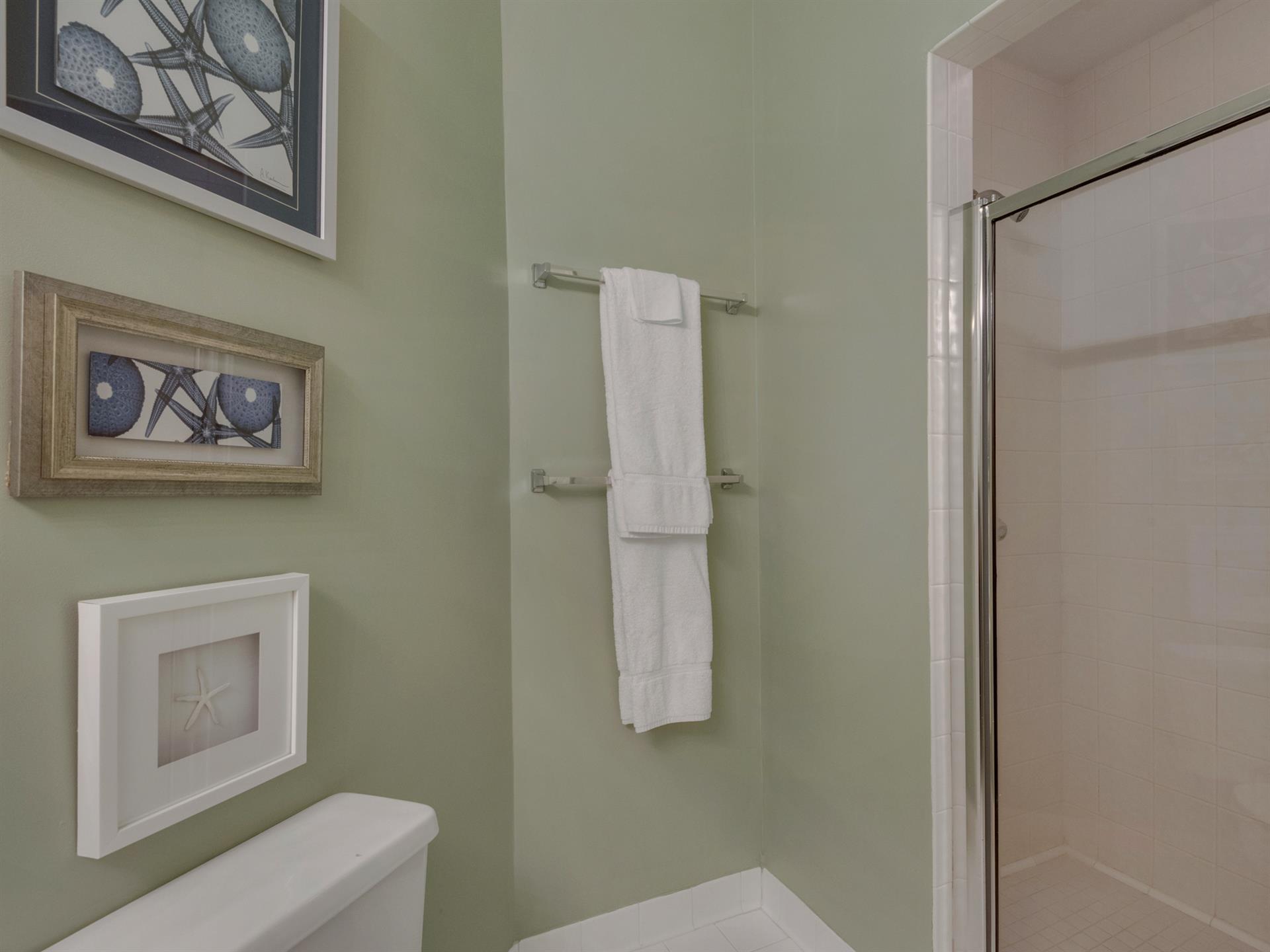 Walk in Shower in Adjoining Guest Bath