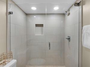 Guest Bathroom Shower