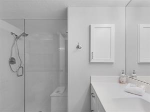 Large Walk in Shower in Primary Bath