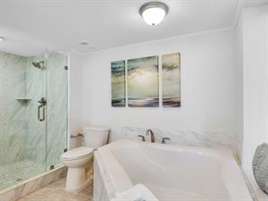 Primary Tub and Separate Shower