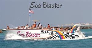 Sea Blaster Dolphin Cruise