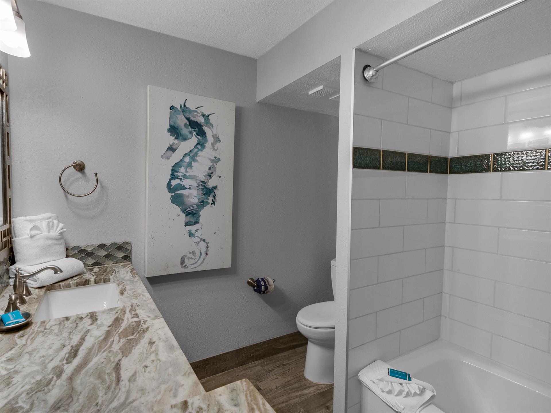 Shower  tub Combo in Guest Bath