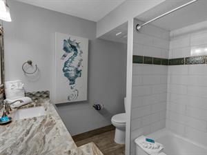 Shower  tub Combo in Guest Bath