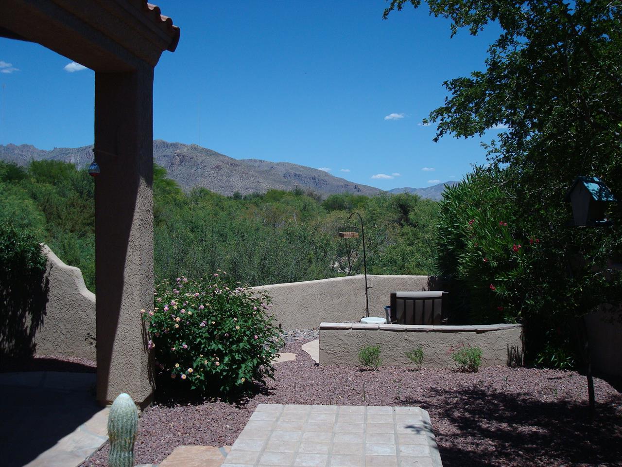Patio view