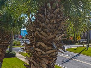 Slight Water View from Balcony
