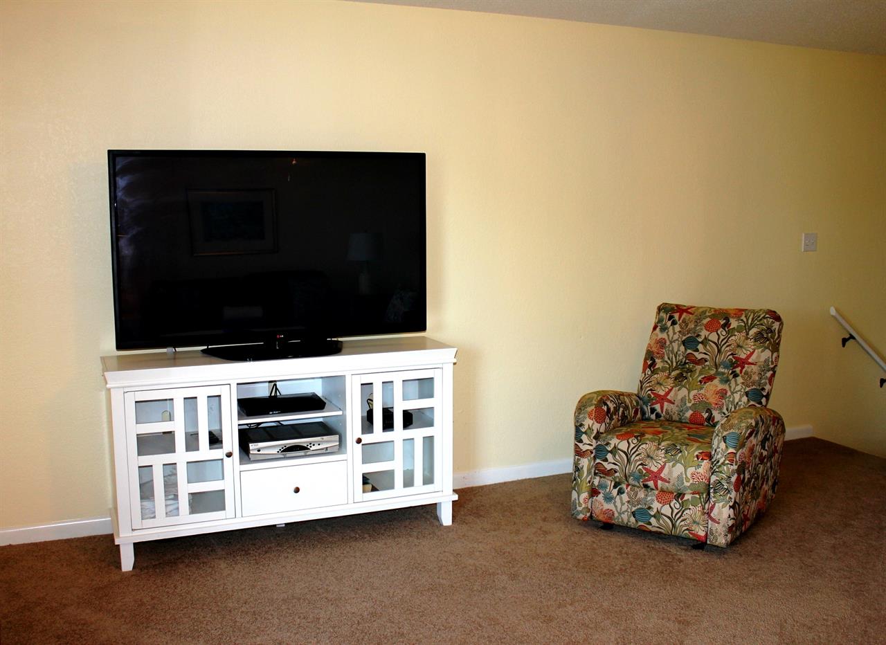 Living Room Flat Screen TV