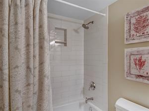 Shower and Tub in Guest Bath