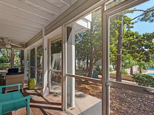 View from Screened Porch