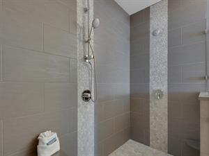 Primary Bathroom Walk in Shower