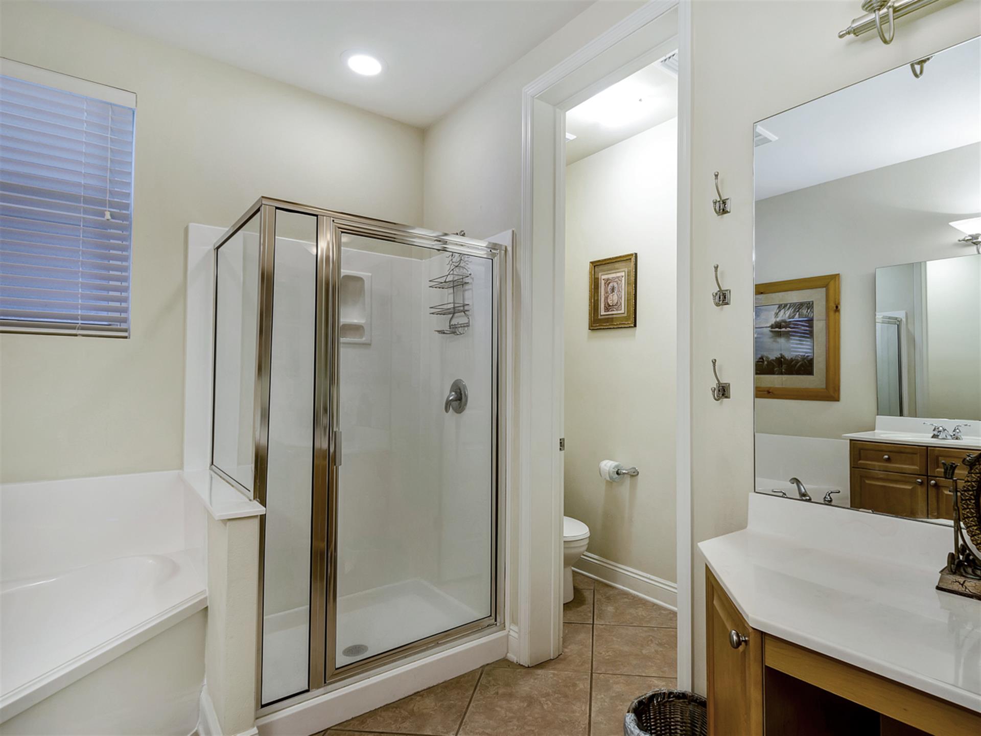 Primary Tub and Shower