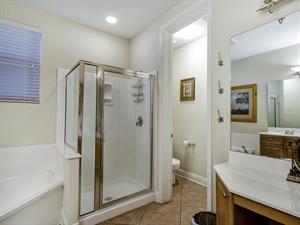 Primary Tub and Shower