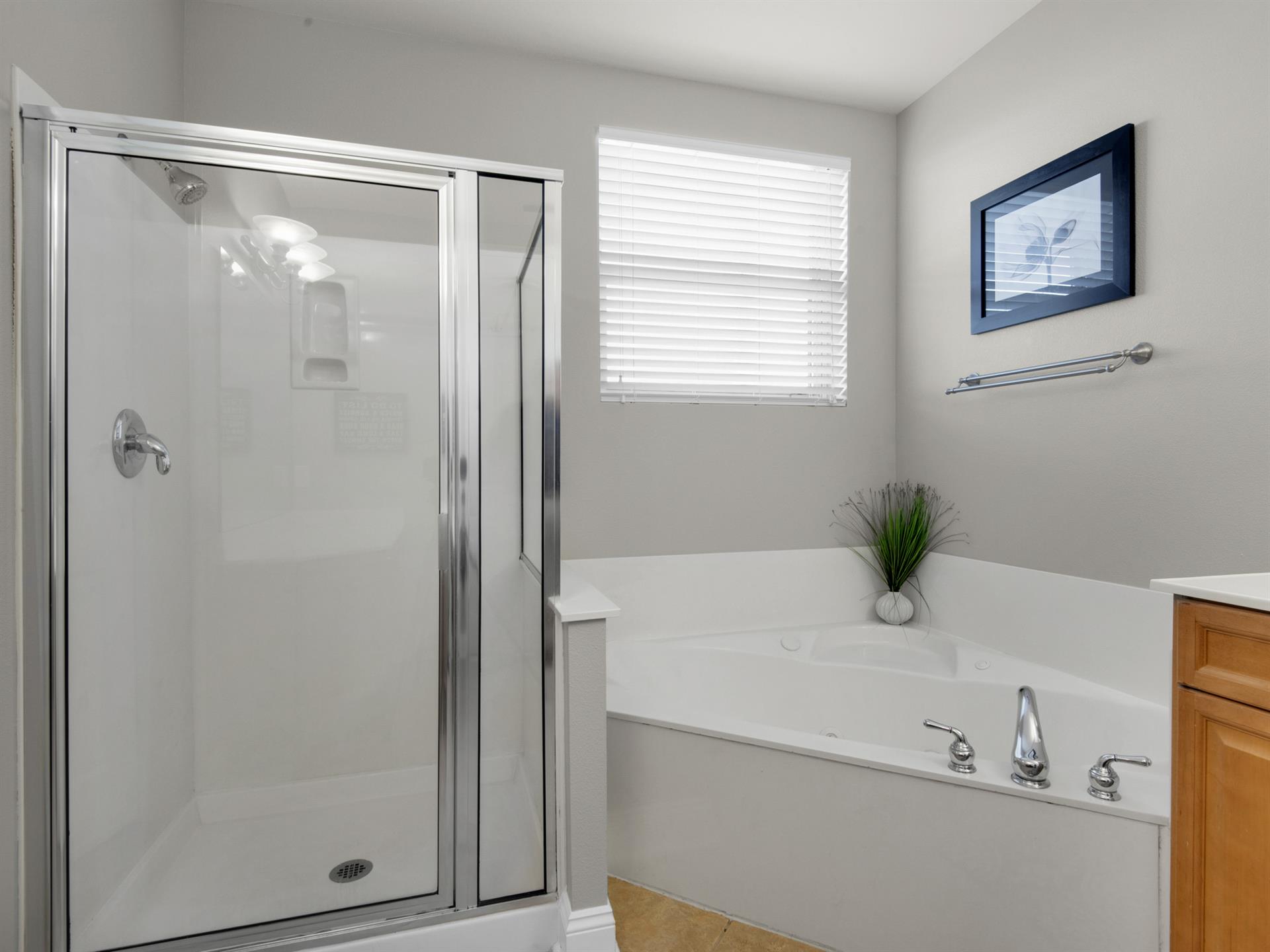 Primary Walk In Shower and Jetted Tub