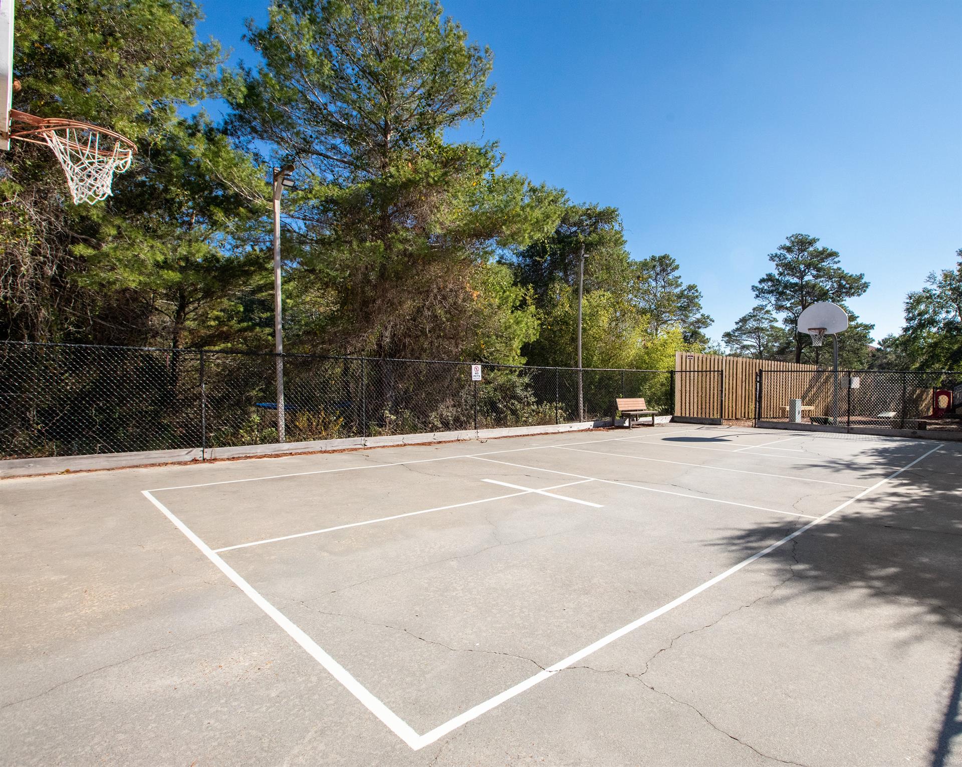 Basketball Court