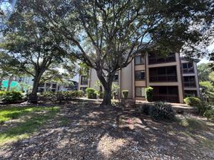 Outdoor sitting area