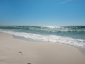 Watch the Waves Roll In