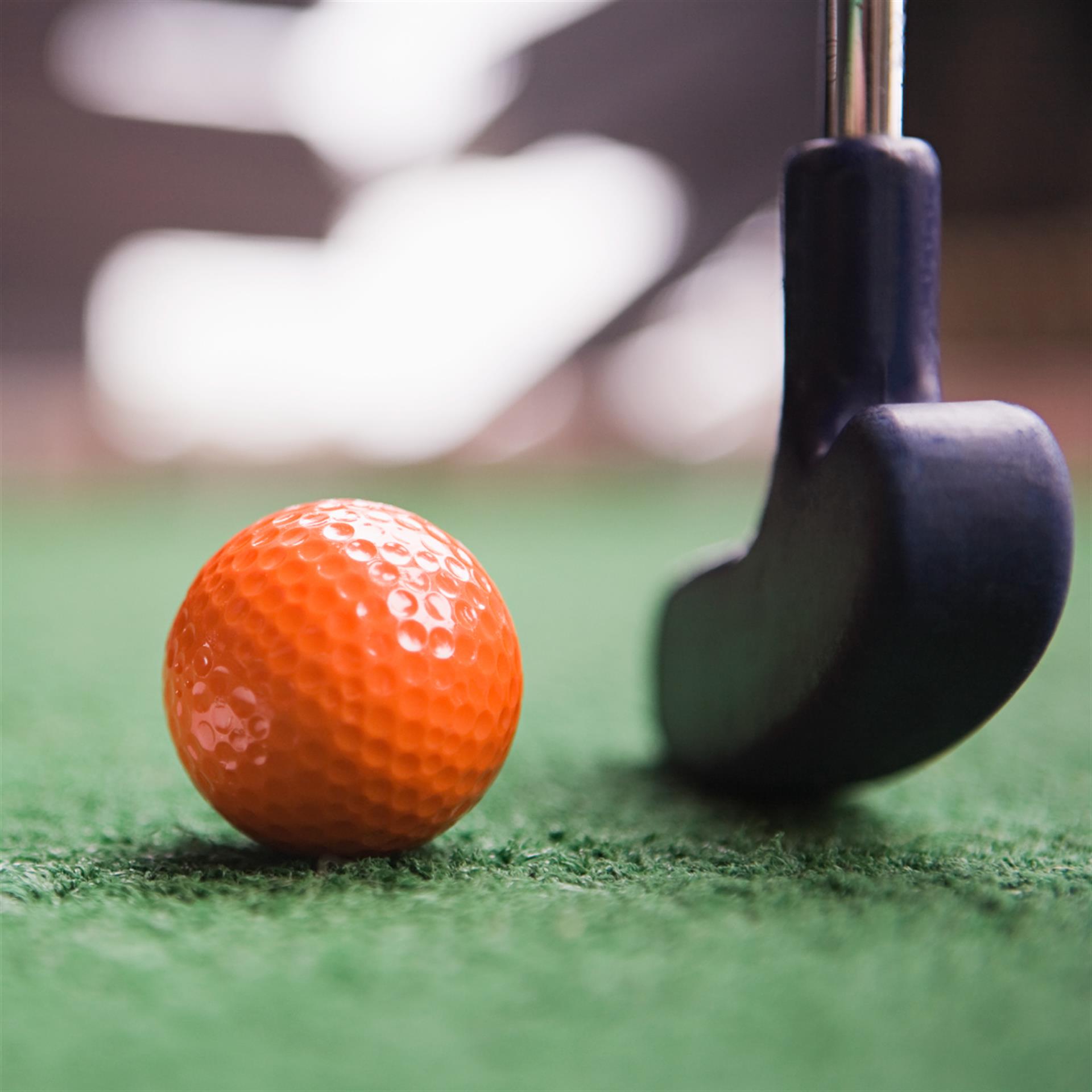 Free Miniature Golf