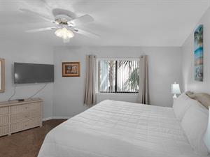 Primary Bedroom and TV