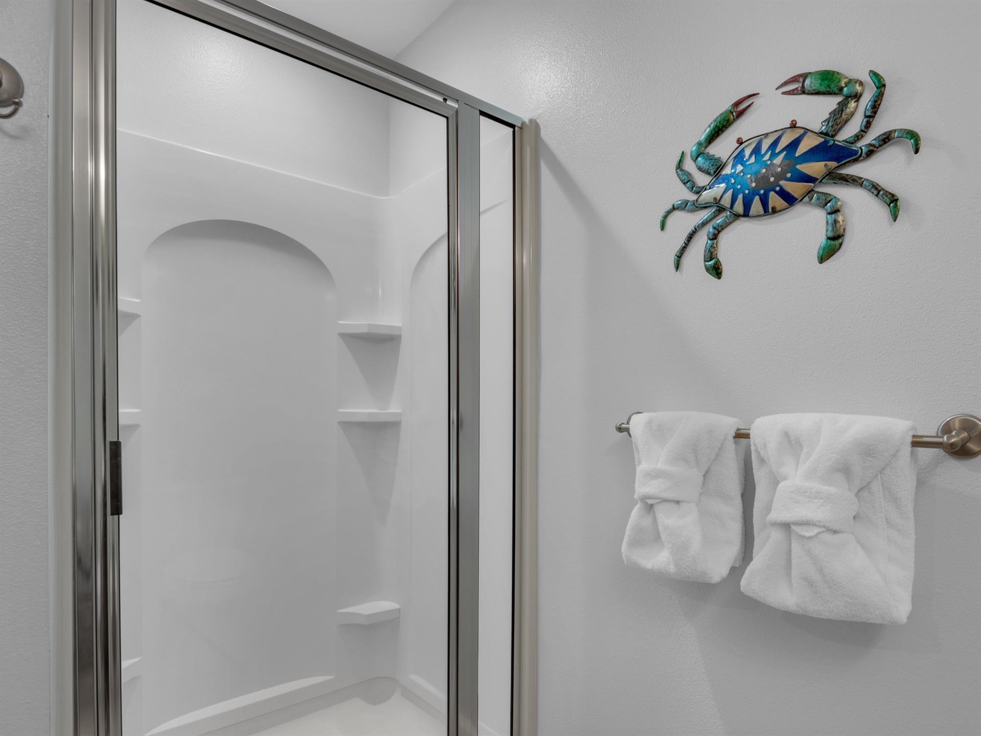 Guest Bath walk in Shower