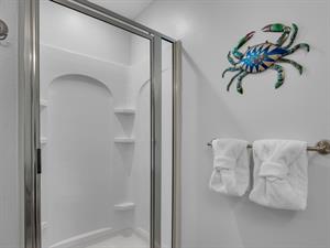 Guest Bath walk in Shower