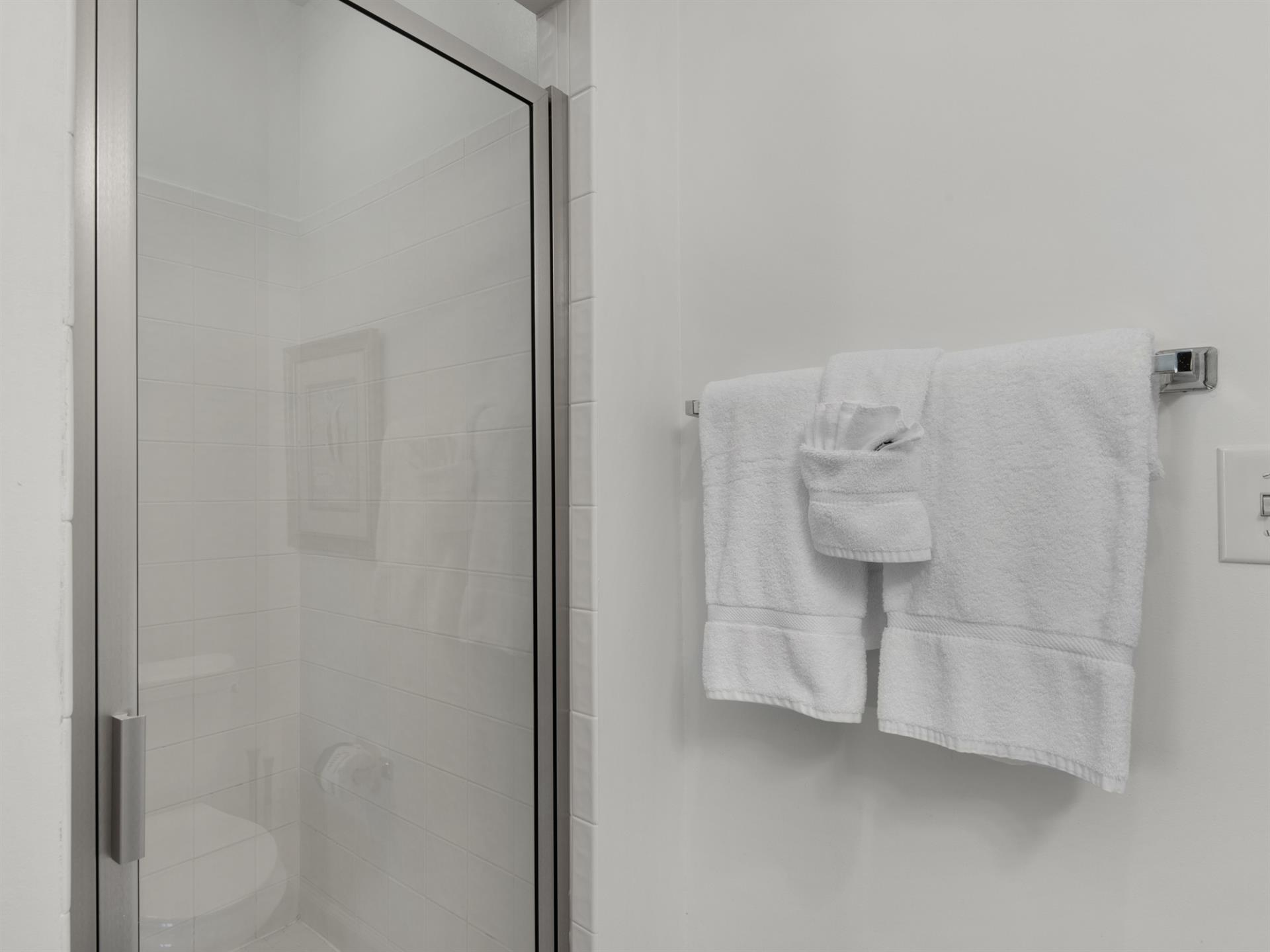 Shower in Guest Bathroom