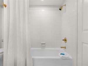 Guest Bath with TubShower Combo