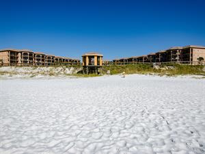 Mediterranea from the Beach