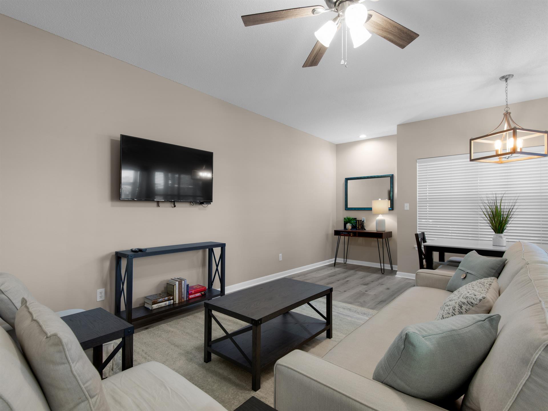 Flat Screen TV in Living Area