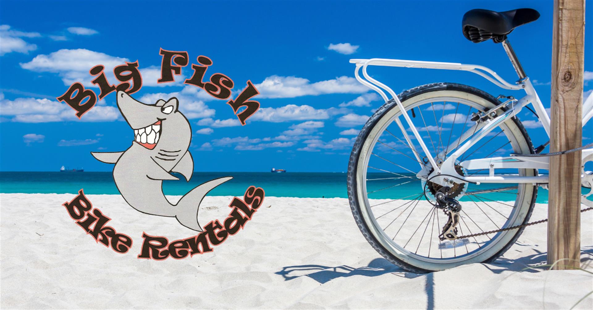 Complimentary Bike rental