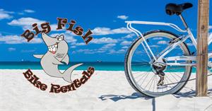 Complimentary Bike rental