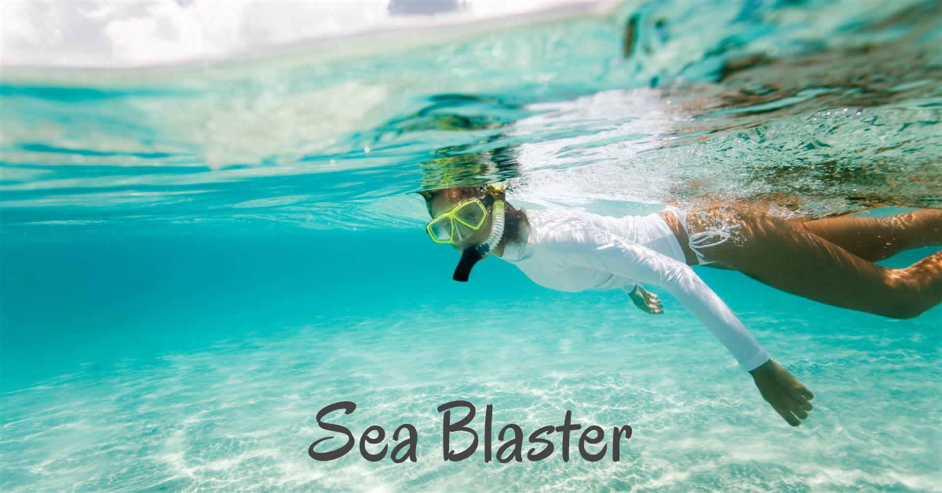 Free Adult Admission on Snorkel Adventure in Season