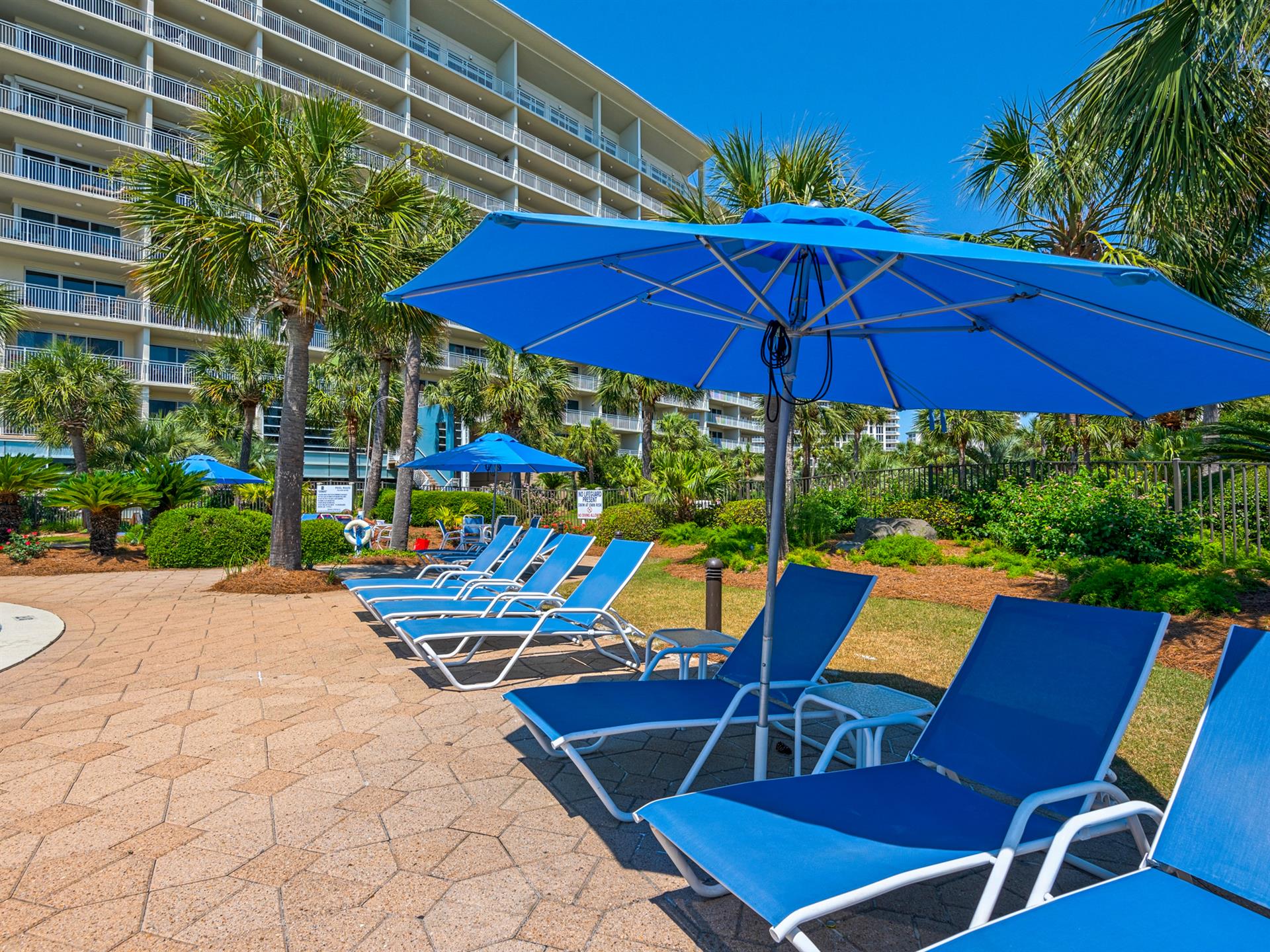 Lay out and Enjoy the Sun