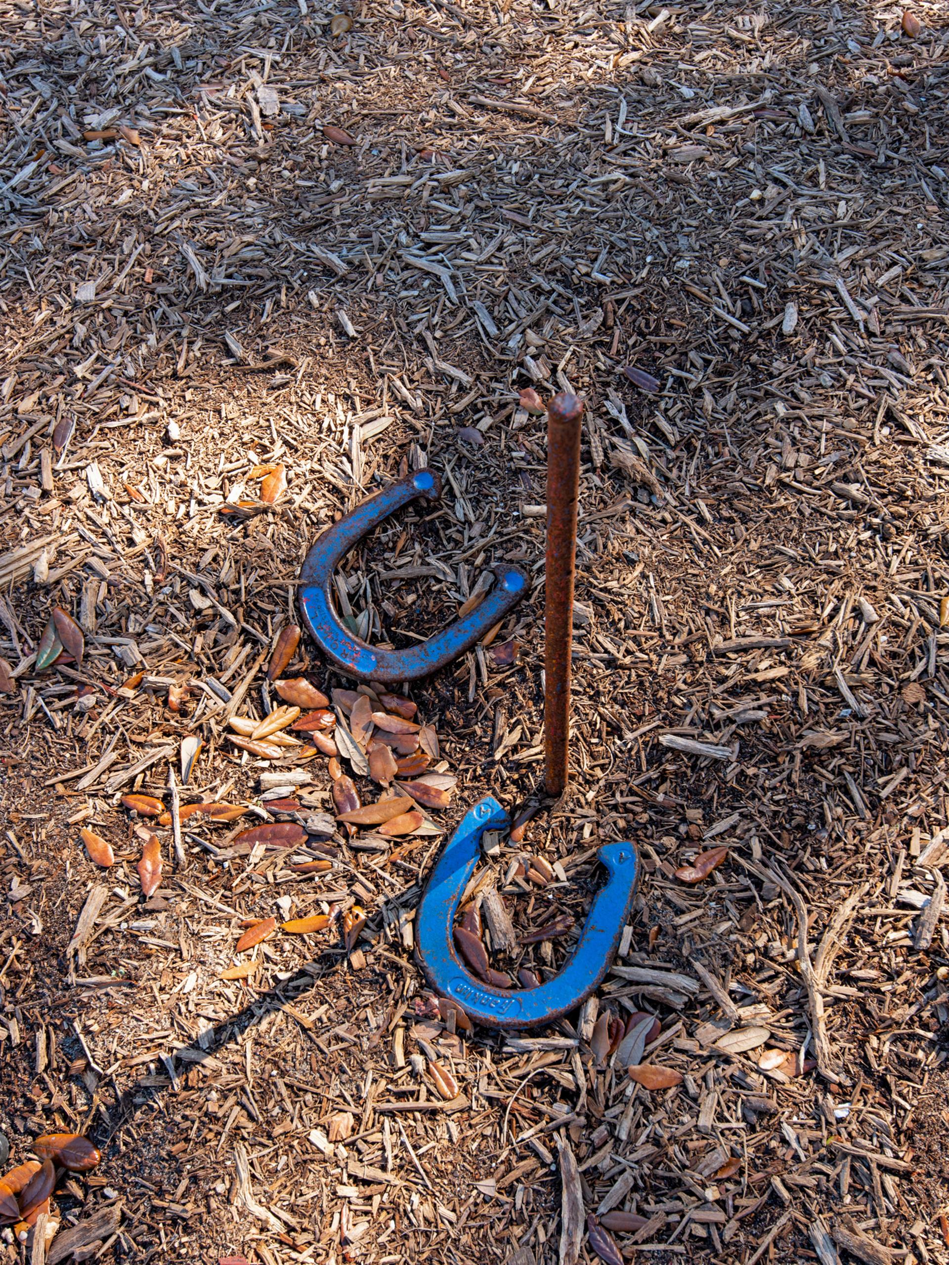 Play a Round of Horseshoes