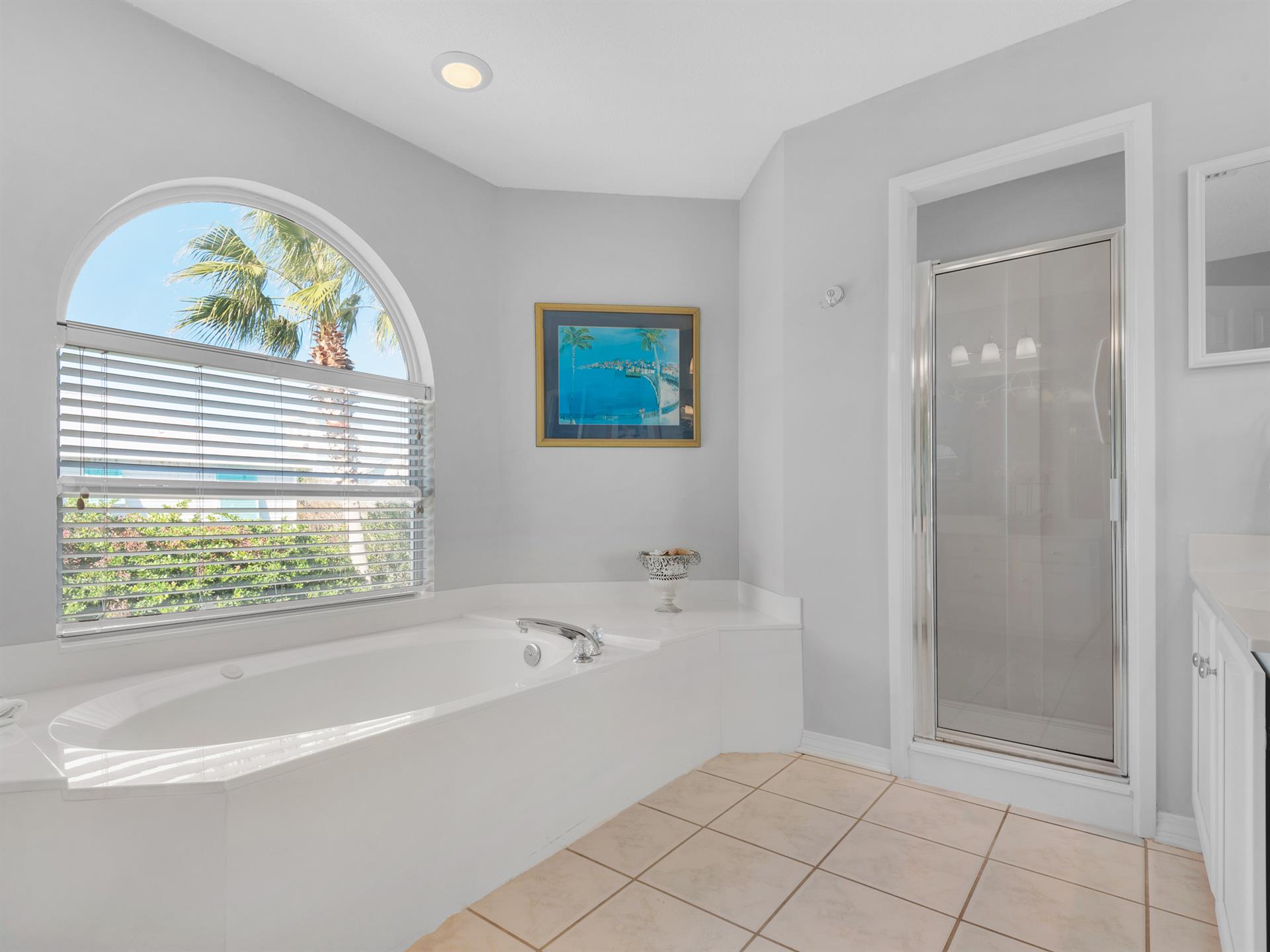 Tub and Walkin Shower