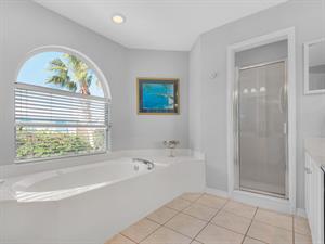 Tub and Walkin Shower