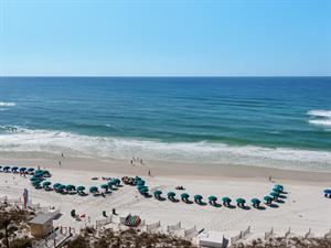 Listen to the Waves Crash into the Shores