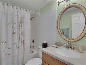 Guest Bathroom 2