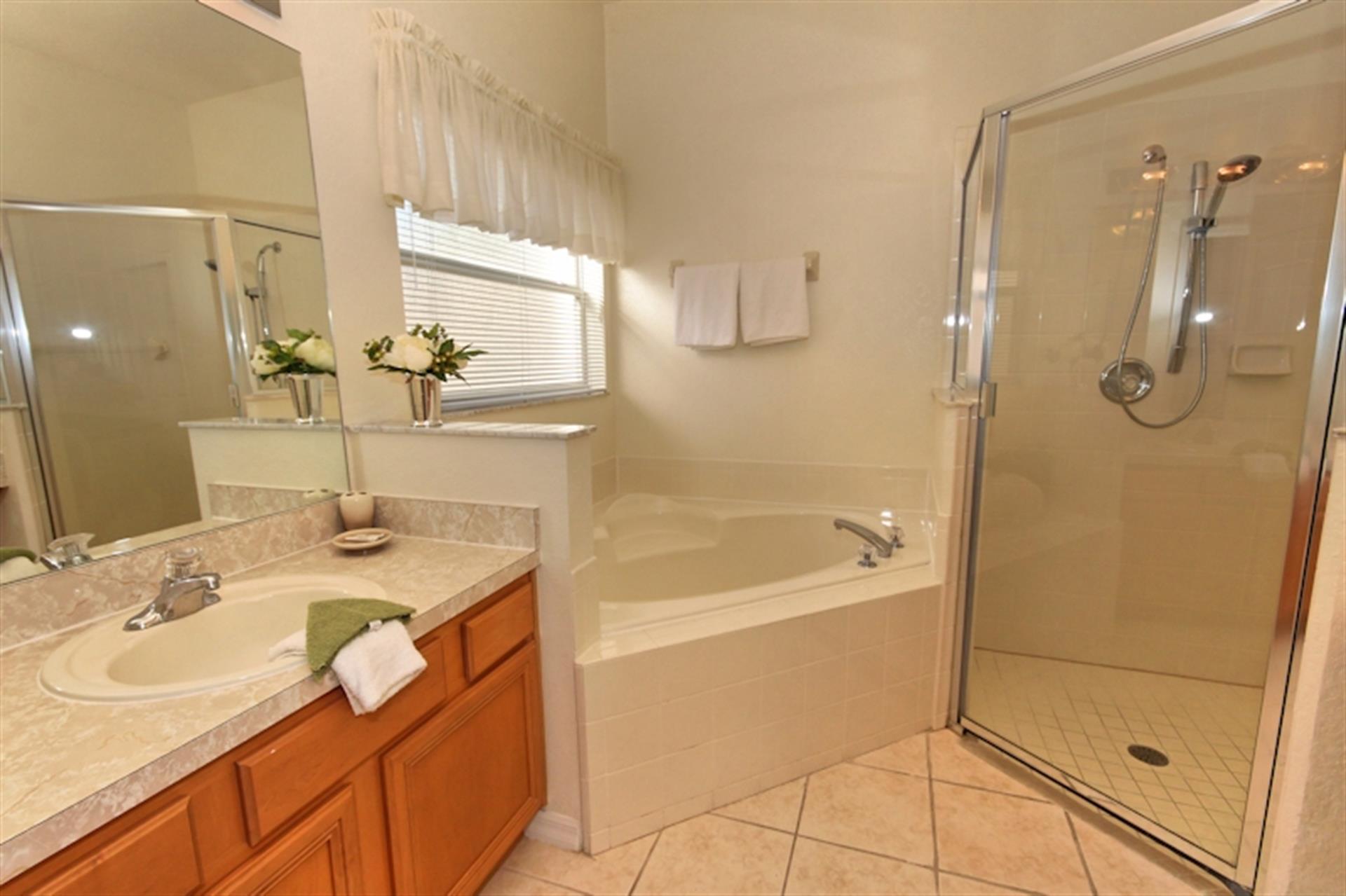 Downstairs Master Bathroom