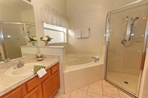 Downstairs Master Bathroom