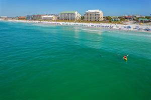 Where the Dolphins Play