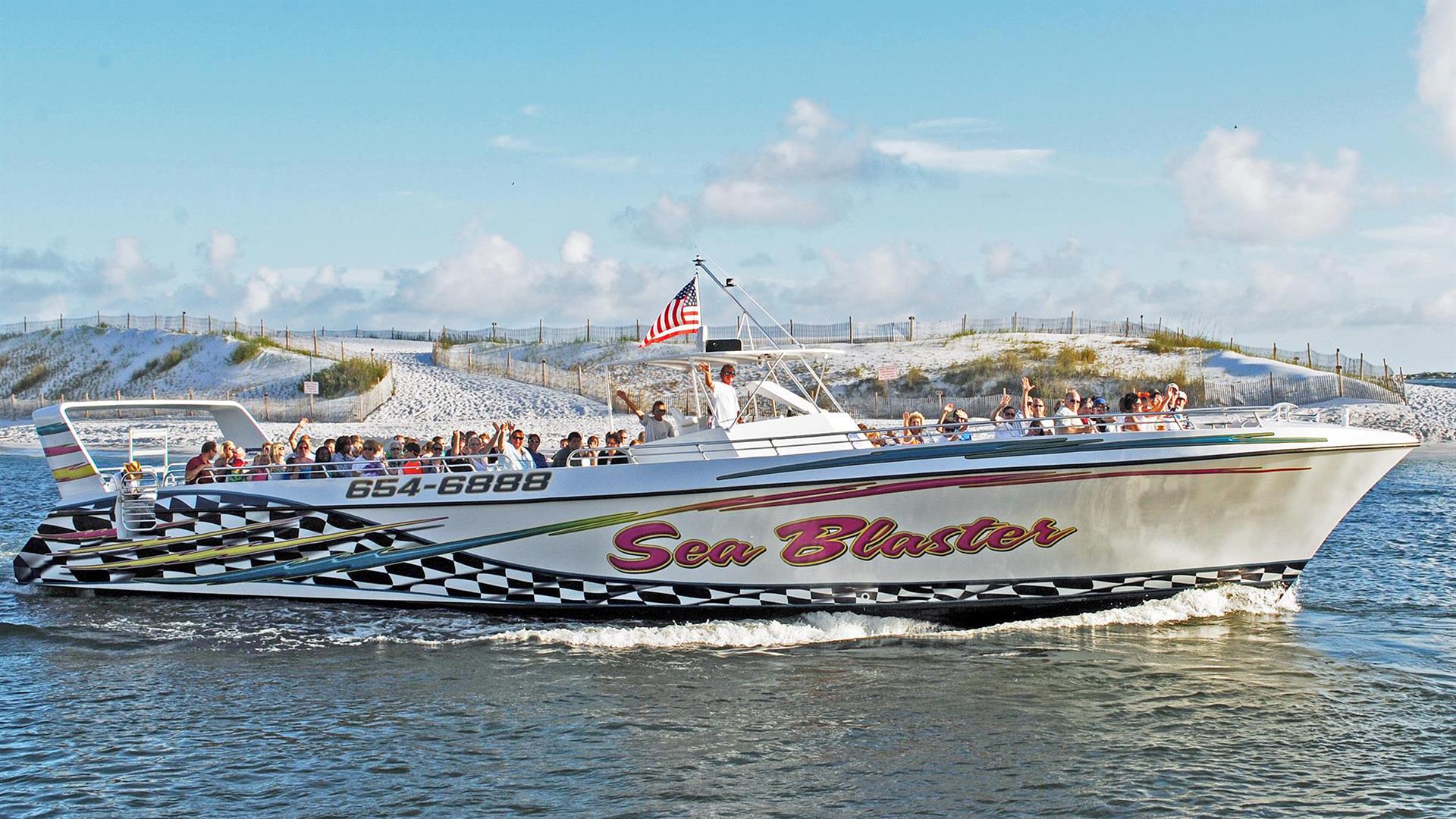 1 FREE adult ticket per day for a dolphin cruise seasonal