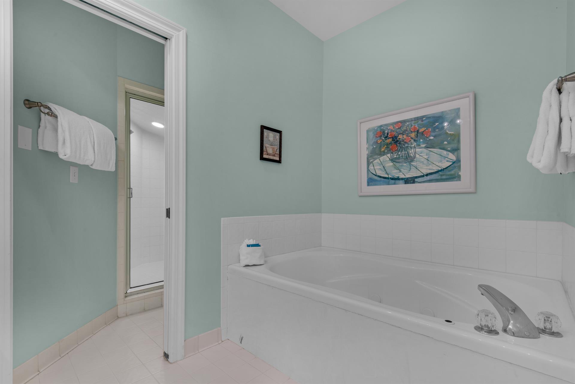 Soaking Tub in Primary Bathroom