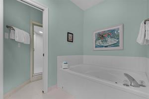 Soaking Tub in Primary Bathroom