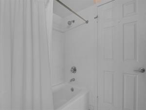 Tub Shower Combo in Guest Bathroom