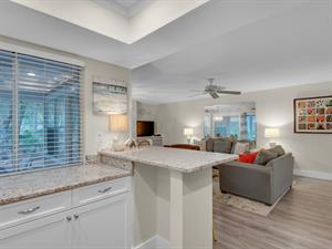 Pass Through Window to Patio