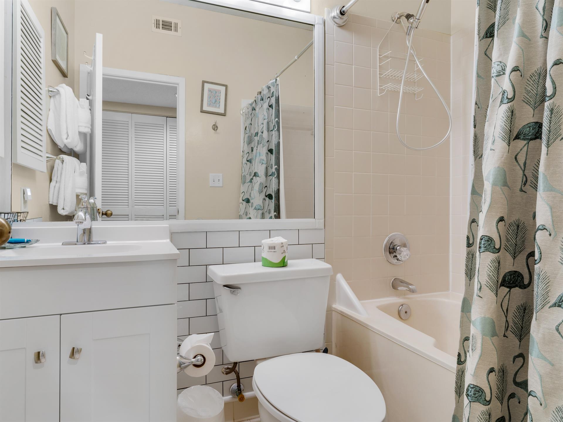 Shower  tub combo in guest bath